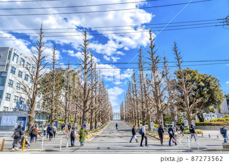 神奈川県横浜市の都市風景　日吉駅 87273562