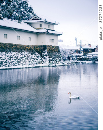 雪の彦根城のお堀を泳ぐ白鳥 87274283