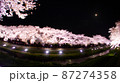 満開の夜桜と月（フィッシュアイ） 87274358