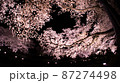 満開の夜桜と月（フィッシュアイ） 87274498