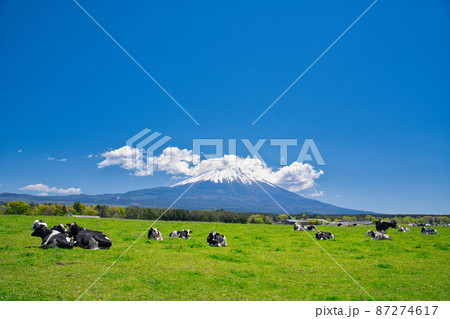 【静岡県】5月・初夏の爽やかな青空の下、富士山周辺をドライブ 87274617