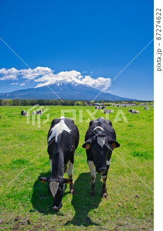 【静岡県】5月・初夏の爽やかな青空の下、富士山周辺をドライブ 87274622