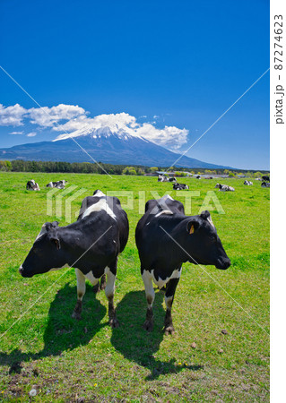 【静岡県】5月・初夏の爽やかな青空の下、富士山周辺をドライブ 87274623