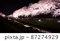 川面に映る満開の夜桜 87274929