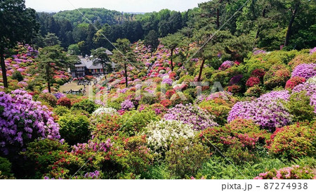 塩船観音寺 87274938