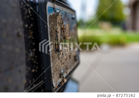 Selective focus on dead bugs splattered to the front grill and plates of a vehicle Selective focus on dead bugs splattered to the front grill and plates of a vehicle 87275162