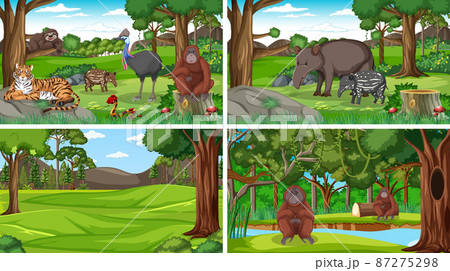 Scenes with wild animals in forest Scenes with wild animals in forest 87275298