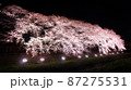 満開の夜桜 87275531