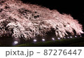 満開の夜桜（クローズアップ） 87276447