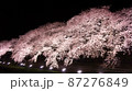 満開の夜桜（クローズアップ） 87276849