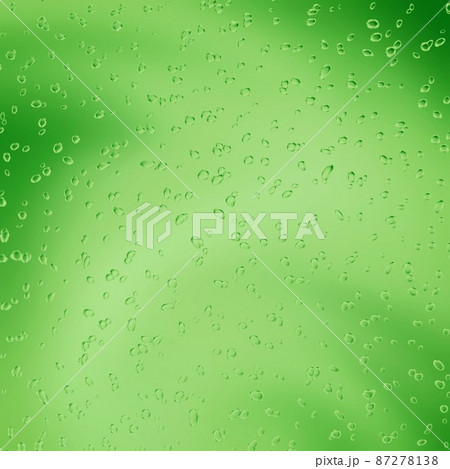 緑 グリーン green 春 新緑 緑 グリーン green 春 新緑 87278138