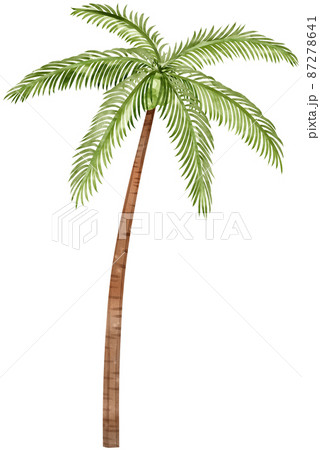 summer vacation items. Accessories for beach holidays by the sea. Summer fruits, food, drinks, equipment, clothes. Collection for summer holiday.watercolor clipart icon png 87278641