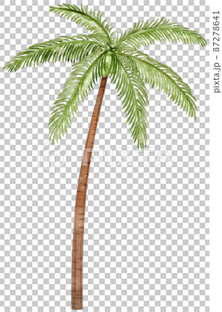 summer vacation items. Accessories for beach holidays by the sea. Summer fruits, food, drinks, equipment, clothes. Collection for summer holiday.watercolor clipart icon png 87278641
