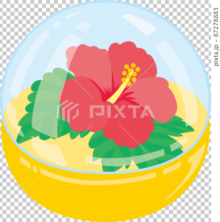 August Gachapon_Hibiscus Flower August Gachapon_Hibiscus Flower 87278883