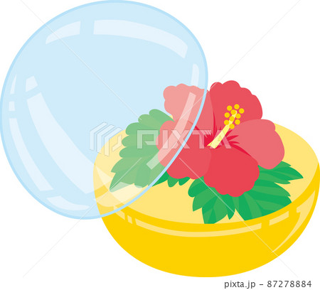 8月のガチャポン_ハイビスカスの花_カプセル半開き 87278884