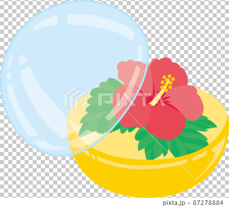 8月のガチャポン_ハイビスカスの花_カプセル半開き 87278884