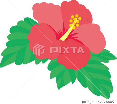 ハイビスカスの花 87278885