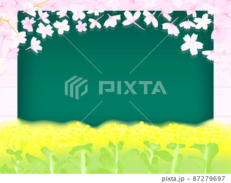 菜の花とさくらと黒板の背景イラスト 87279697