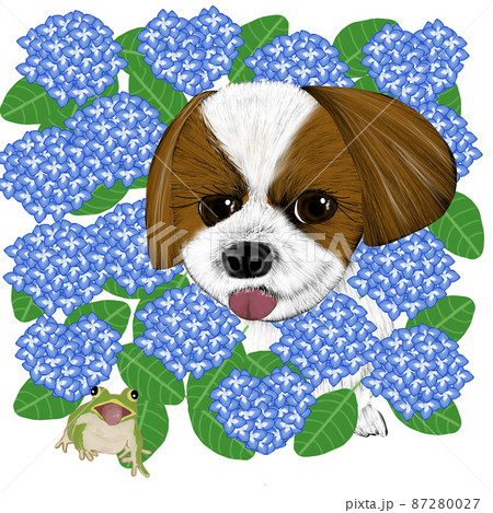 犬とカエルとあじさい 犬とカエルとあじさい 87280027