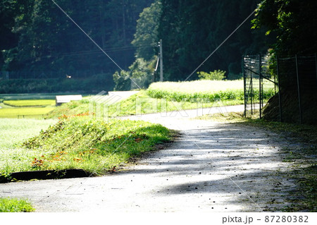 田舎の懐かしい道の写真素材 [87280382] - PIXTA