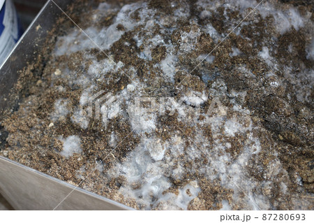 真冬の骨粉、種粕使ったぼかし肥作り 十日目 87280693