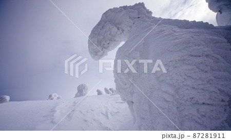 厳冬期の森吉山樹氷平　秋田県 87281911