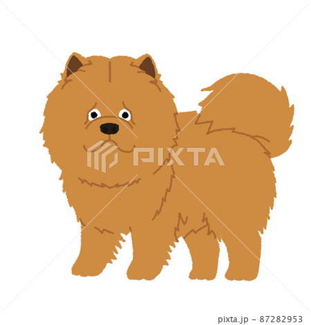 チャウチャウの犬イラストのイラスト素材