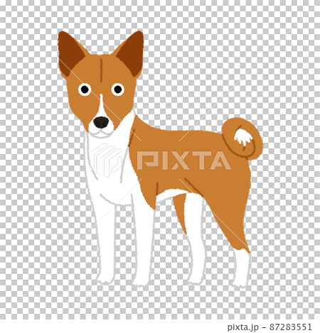 バセンジーの犬イラストのイラスト素材
