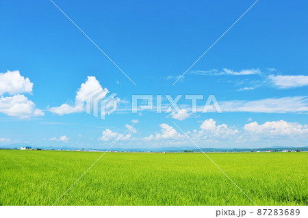 北海道　夏の青空と田んぼ風景 87283689