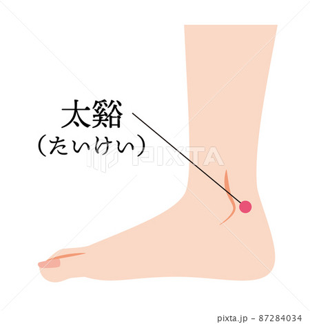 足のツボ　太谿 87284034