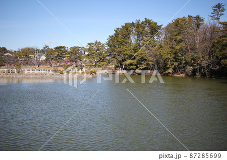 岡崎市南公園 南公園 自然風景 岡崎市南公園 南公園 自然風景 87285699