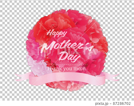 母の日　カーネーション　背景素材 87286702