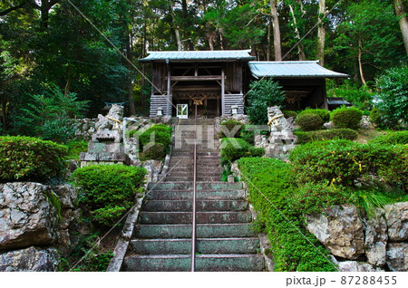 清瀧神社(徳源院の北隣):滋賀県米原市 清瀧神社(徳源院の北隣):滋賀県米原市 87288455
