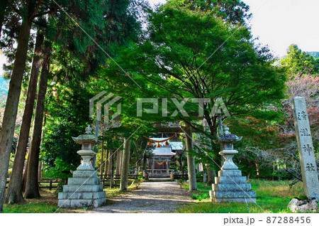 清瀧神社(徳源院の北隣):滋賀県米原市 清瀧神社(徳源院の北隣):滋賀県米原市 87288456