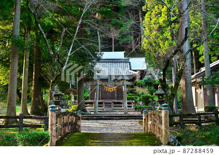 清瀧神社（徳源院の北隣）：滋賀県米原市 87288459