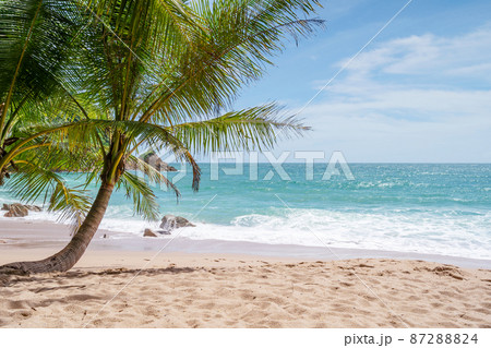 Phuket beach Summer beach with coconut palms trees around in Phuket island Thailand, Beautiful tropical beach with blue sky background in summer season Copy space 87288824