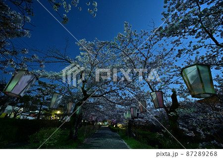 篠山城の桜の写真素材