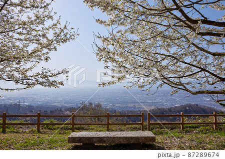 4月（春） 城山公園（守山城跡）からの風景と白木蓮 富山県高岡市 87289674