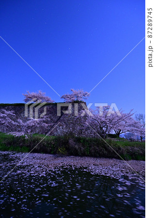 篠山城の桜の写真素材