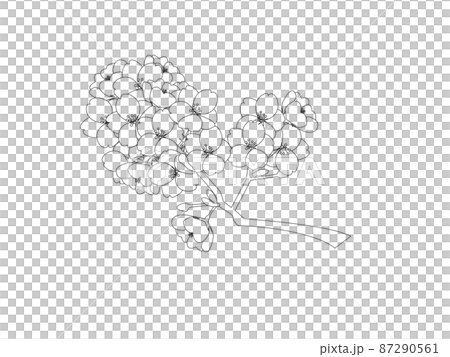 櫻花著色書 87290561