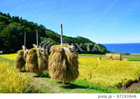 村上中浜の棚田（新潟県） 87293846