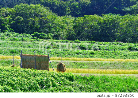 村上中浜の棚田（新潟県） 87293850
