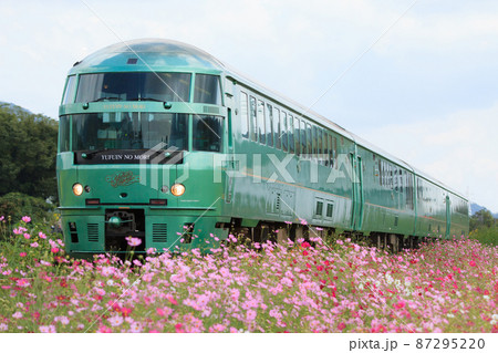 コスモスと特急「ゆふいんの森」（JR九州　キハ72系） 87295220