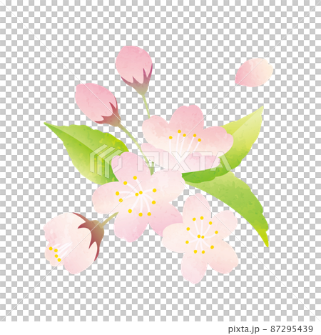 櫻花的水彩風格插圖 87295439