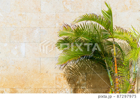 Yellow stone wall and palm trees, abstract background 87297975