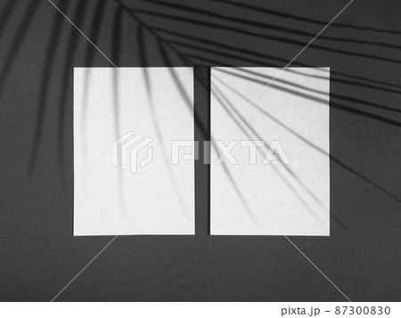 light black background with white blanks paper ficus leaf shadow 87300830