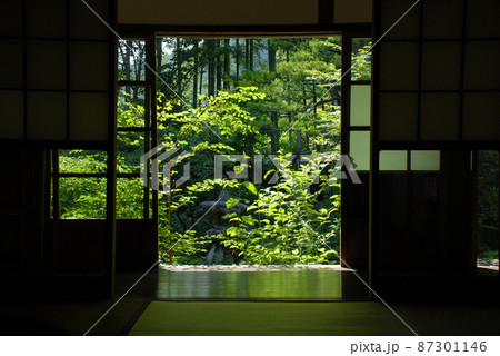 新緑の三千院　室内から見る庭の緑　京都市左京区大原 87301146