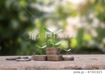 Trees are growing on piles of coins against a blurry green nature background. Ideas for saving money and growing the economy 87301925