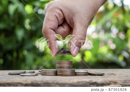 Plant trees on the pile of coins and blurred green nature background, economic growth, and environmental investment concept. 87301926