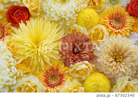 キク科の花。黄色を基調としたフラワーアレンジメント。 87302340